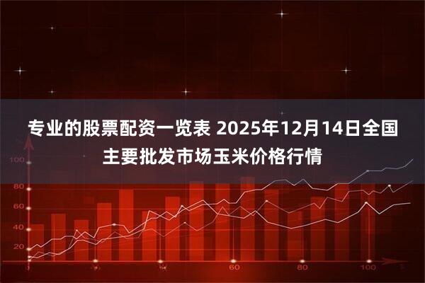 专业的股票配资一览表 2025年12月14日全国主要批发市场玉米价格行情