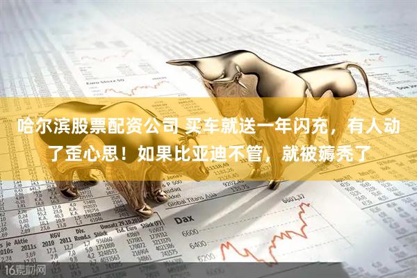 哈尔滨股票配资公司 买车就送一年闪充，有人动了歪心思！如果比亚迪不管，就被薅秃了
