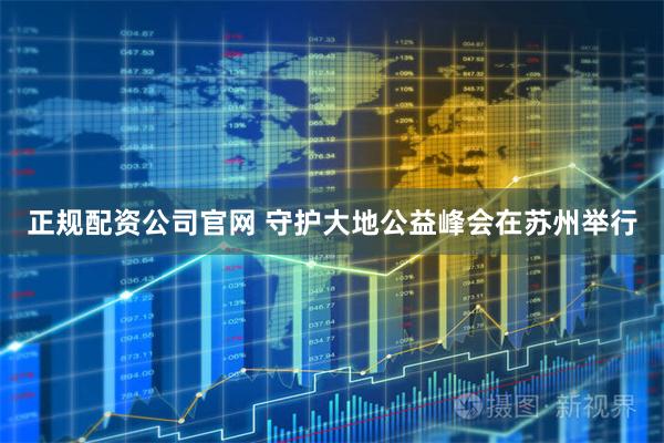 正规配资公司官网 守护大地公益峰会在苏州举行